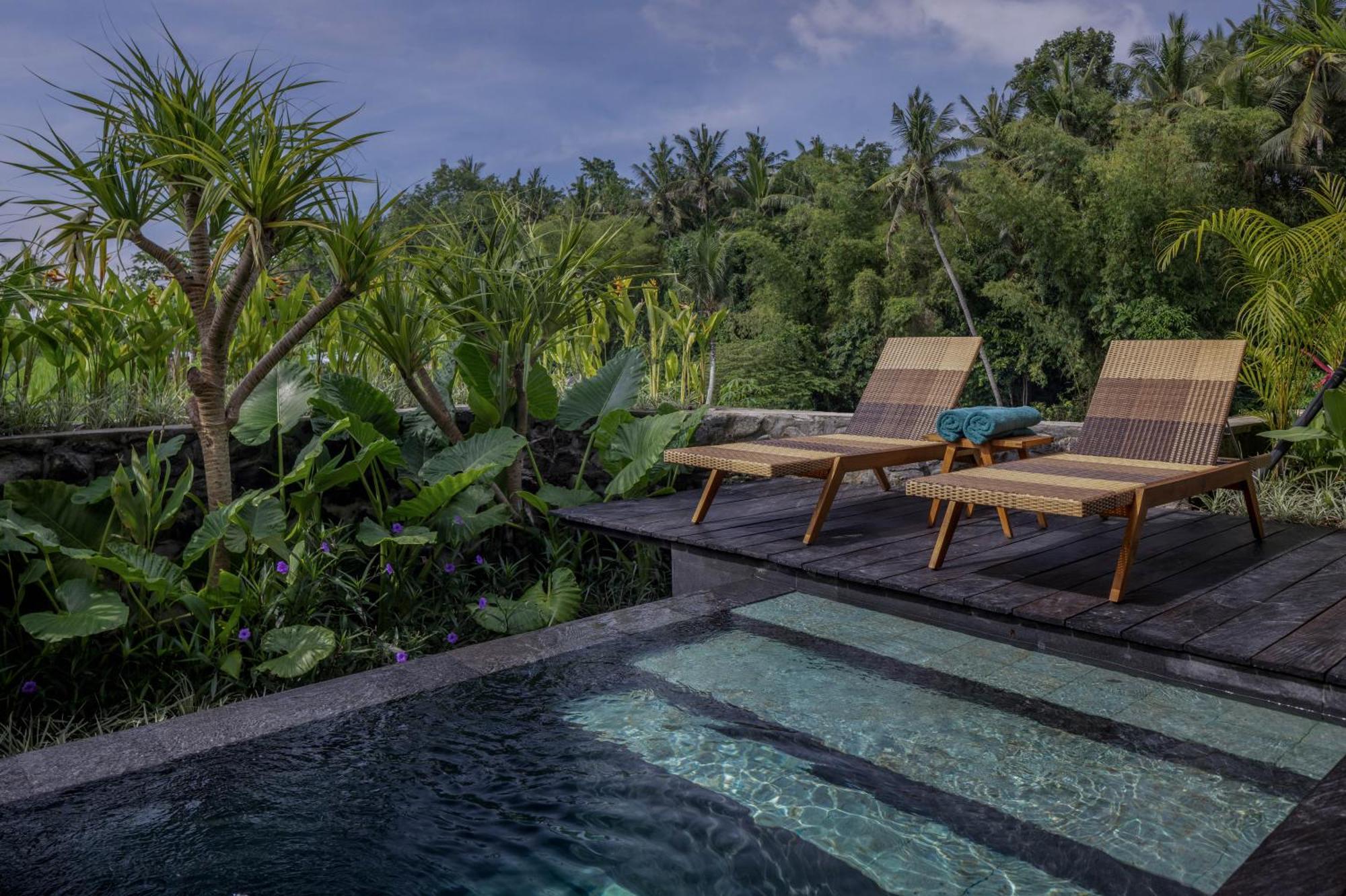 Gdas Bali Health And Wellness Resort - Adult Only Убуд Экстерьер фото