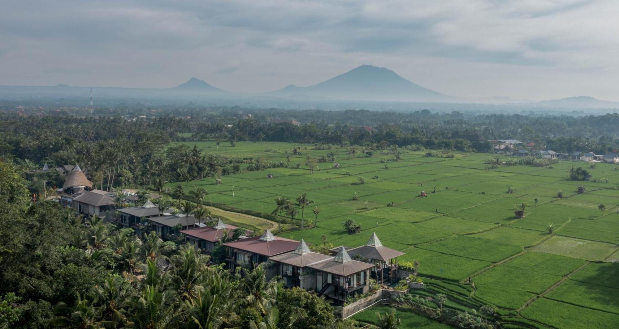 Gdas Bali Health And Wellness Resort - Adult Only Убуд Экстерьер фото
